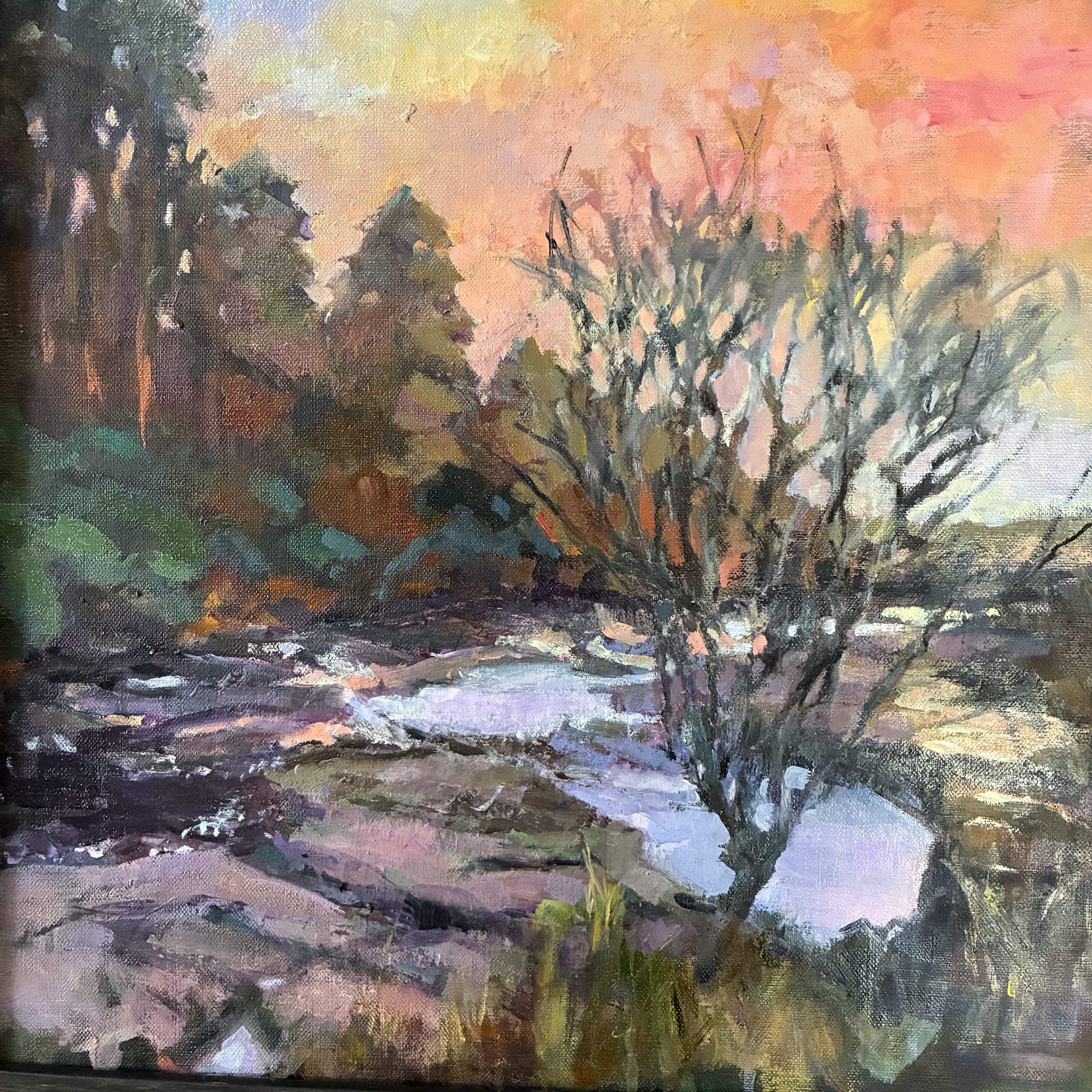 shipley Bridge, Dartmoor 